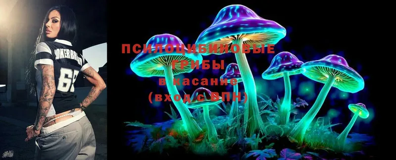 закладки  Курган  KRAKEN ССЫЛКА  Псилоцибиновые грибы Magic Shrooms 